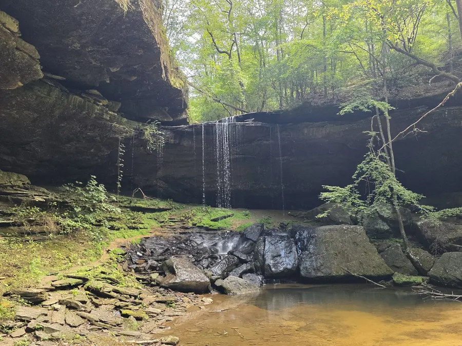 Alabama waterfall in the woods